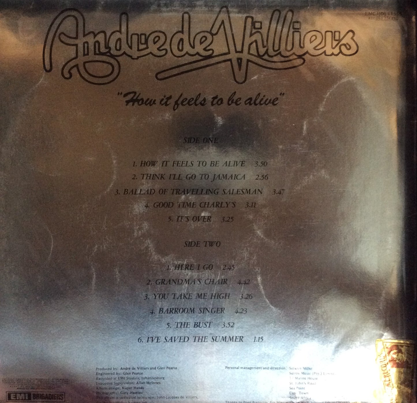 Andre de Villiers - How It Feels To Be Alive