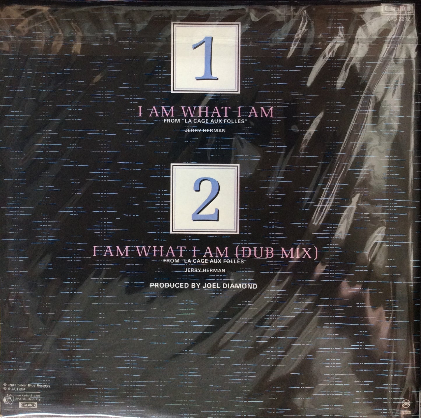 Gloria Gaynor - I Am What I Am