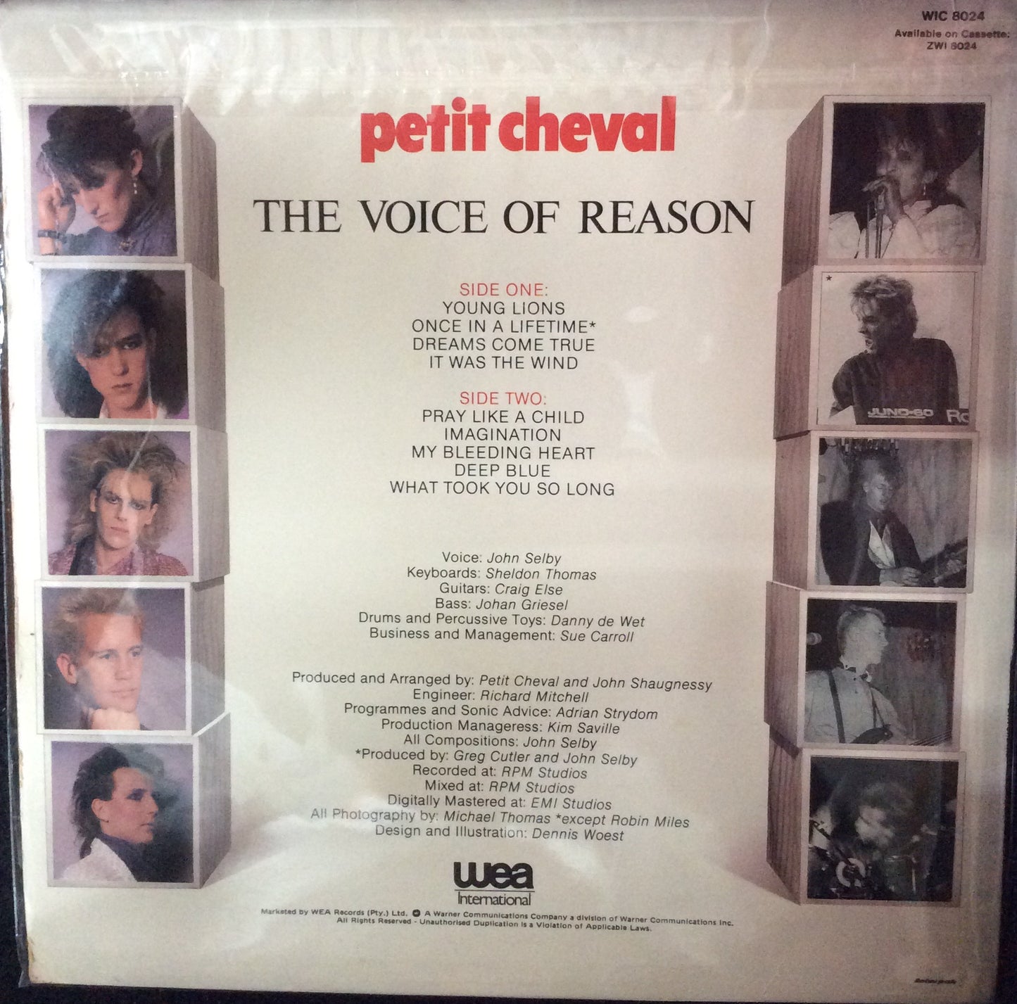 Petit Cheval - The Voice Of Reason