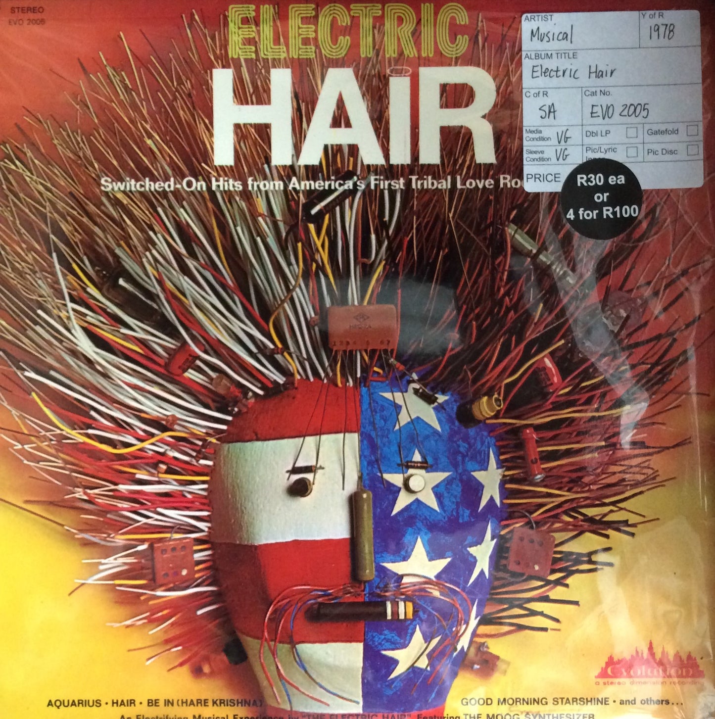 Musical - Electric Hair