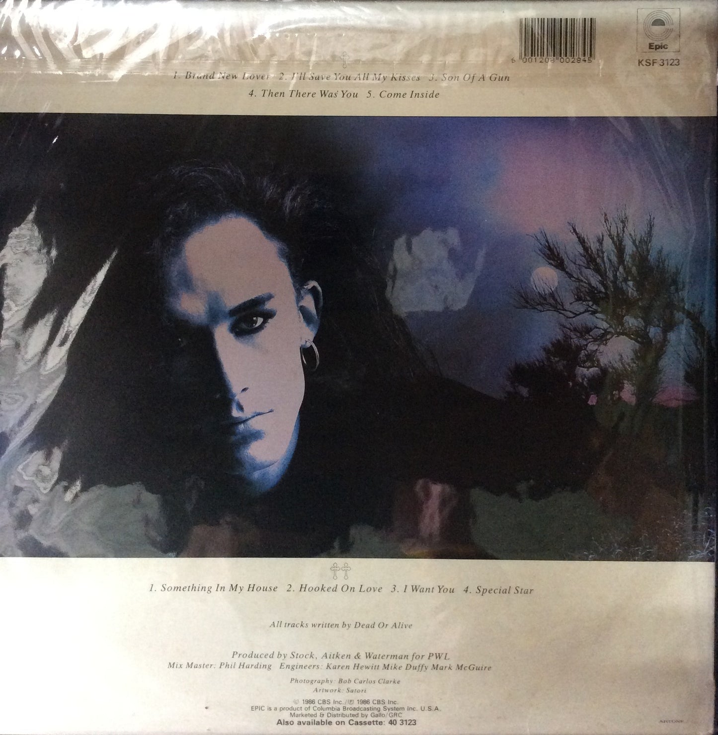 Dead Or Alive - Mad, Bad And Dangerous To Know