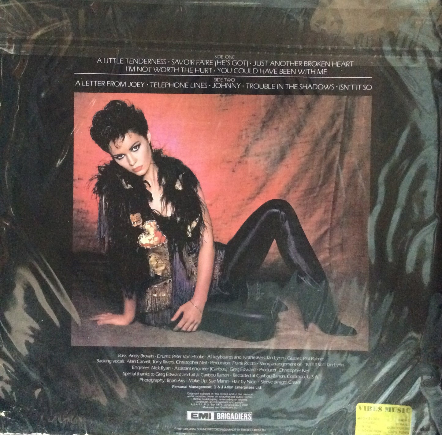 Sheena Easton - You Could Have Been With Me