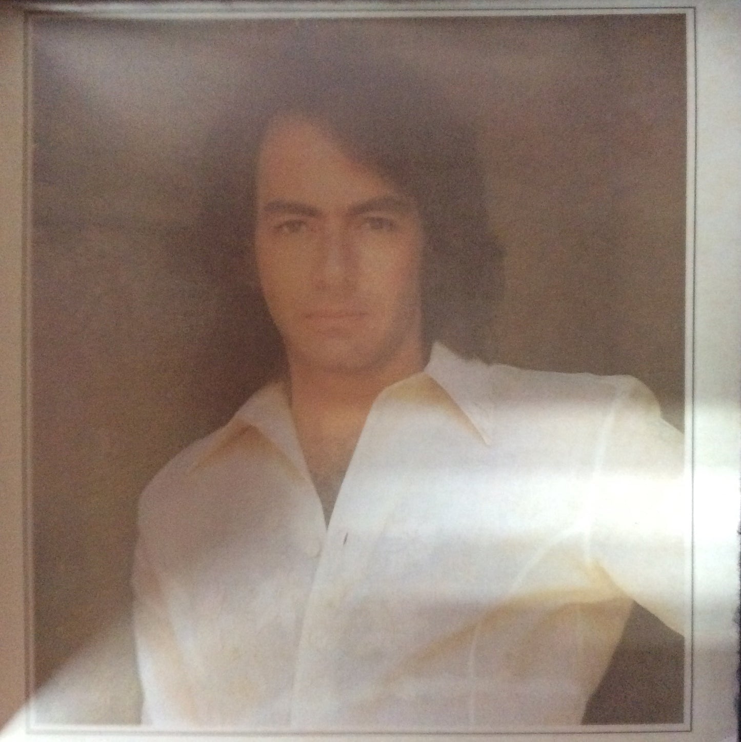 Neil Diamond - Jonathan Livingston Seagull