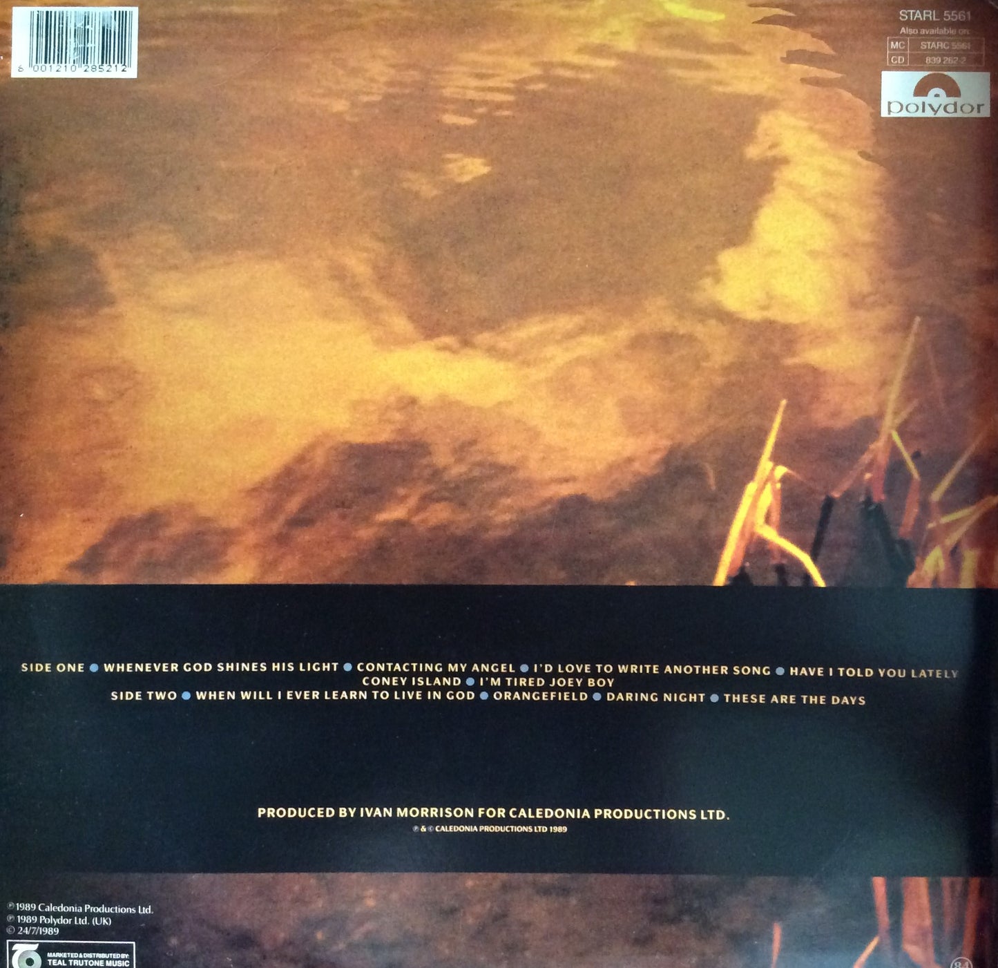 Van Morrison - Avalon Sunset