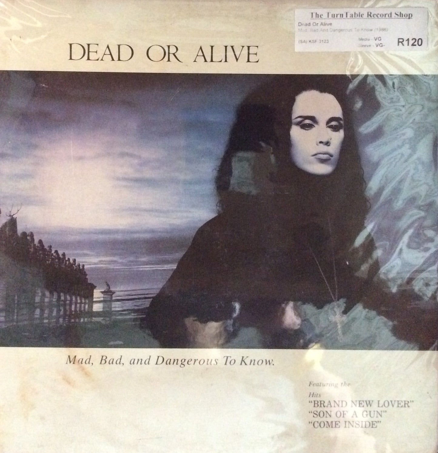 Dead Or Alive - Mad, Bad And Dangerous To Know