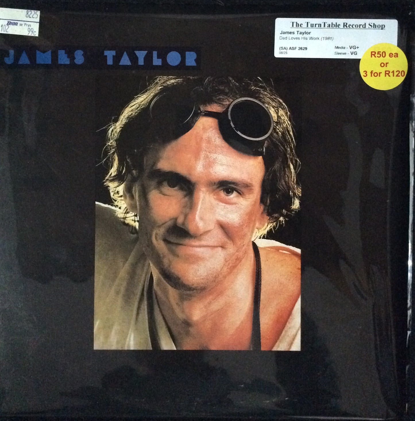 James Taylor - Dad Loves His Work