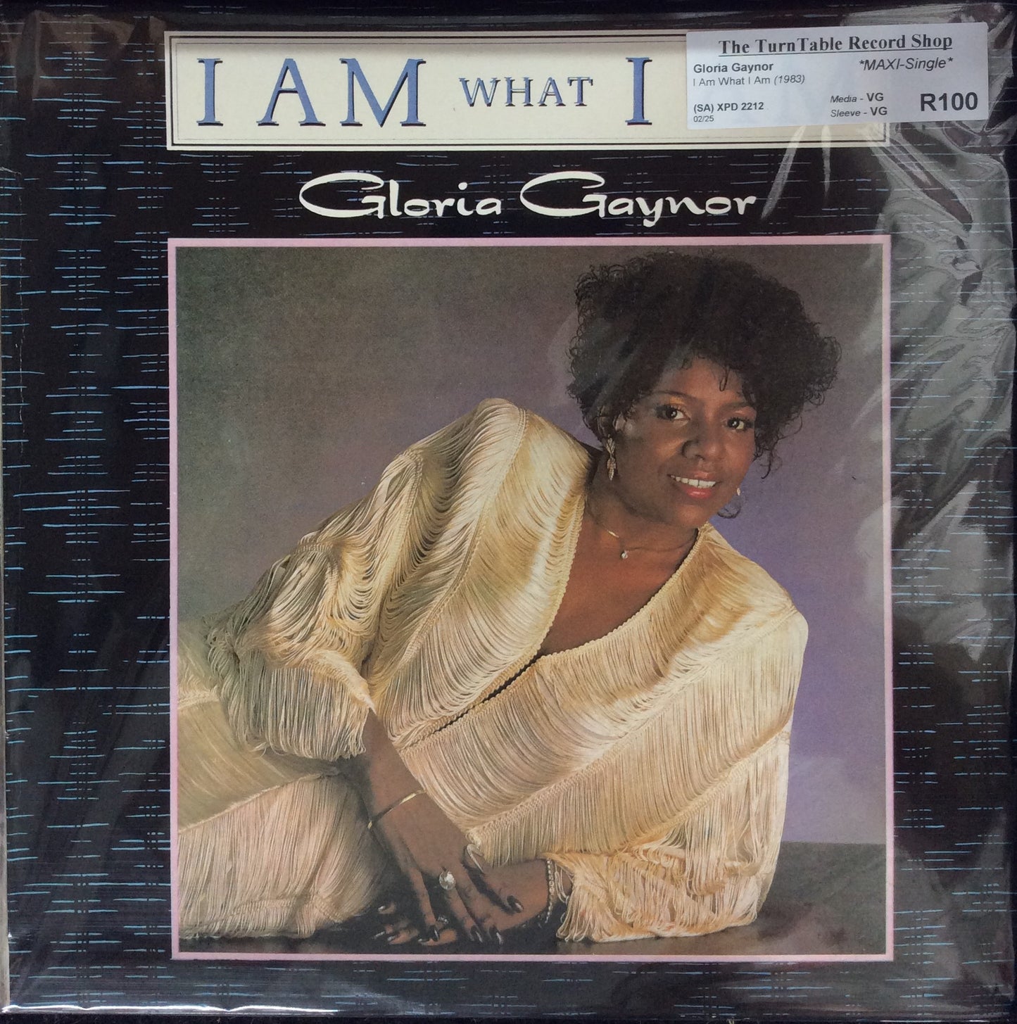 Gloria Gaynor - I Am What I Am