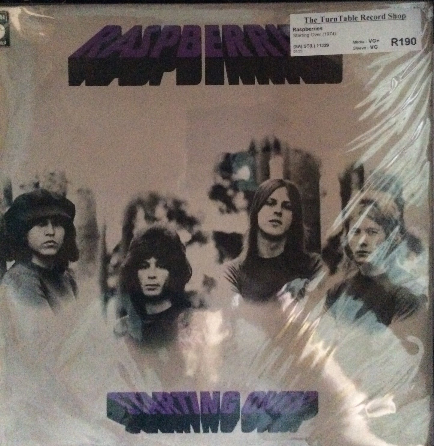 Raspberries - Starting Over