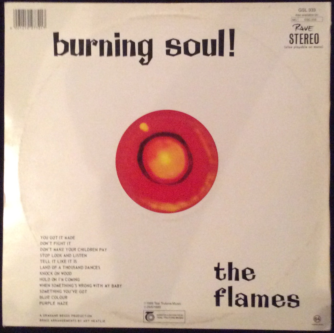 Flames, The - Burning Soul!