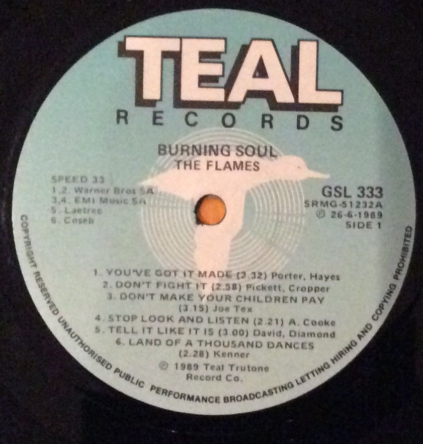 Flames, The - Burning Soul!