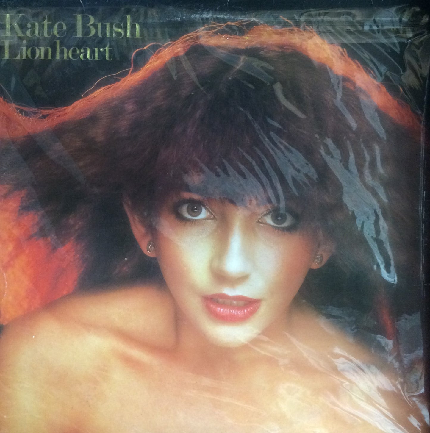 Kate Bush - Lionheart