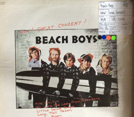 Beach Boys - Wow! Great Concert!