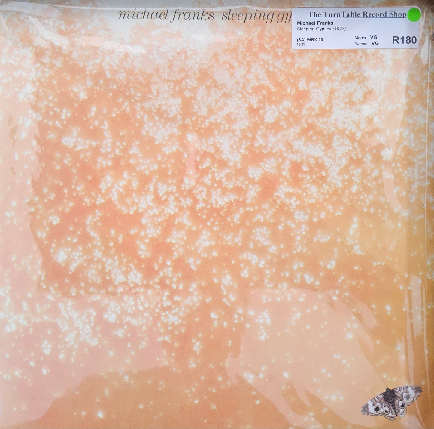 Michael Franks - Sleeping Gypsy
