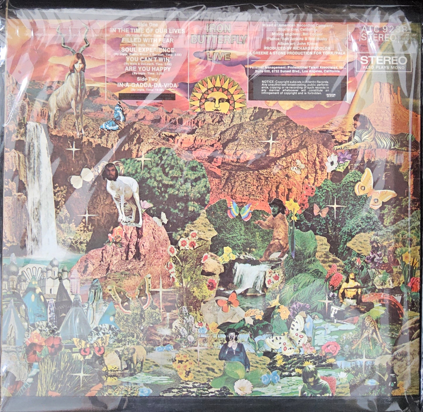 Iron Butterfly - Live